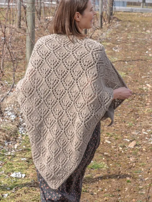 Dover Shawl - *Free pattern by Berroco*